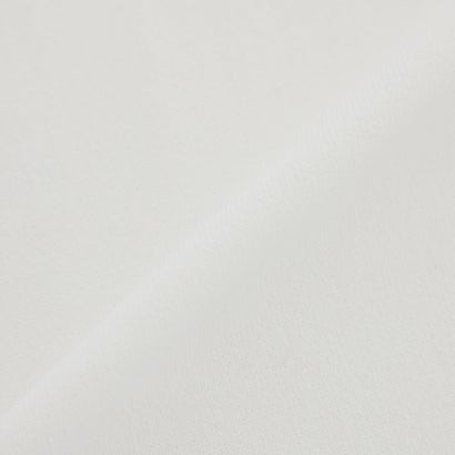 エヴェックス バイ クリツィア EVEX by KRIZIA 【ウォッシャブル】レーヨンナイロンストレッチボーダーニット （オフホワイト）｜詳細画像