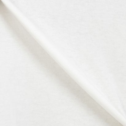 S/S T-SHIRT / ショートスリーブティーシャツ / SEGA / ソニック / ユニセックス （WHITE）｜詳細画像