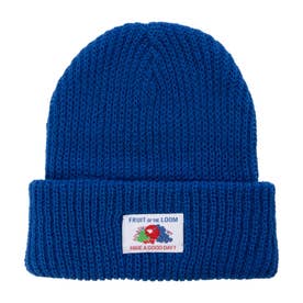 FTL EX OLDLOGONAME KNITWATCH （ブルー）