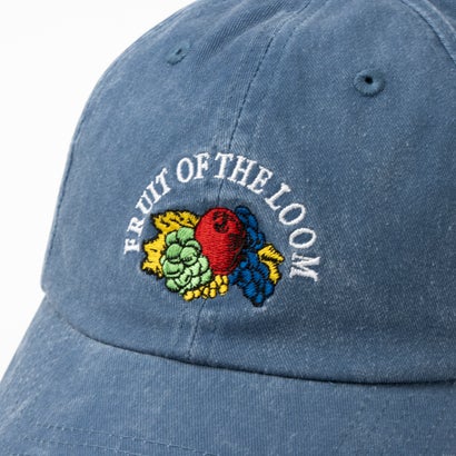フルーツオブザルーム FRUIT OF THE LOOM FTL EX OLDLOGO PIGMENT CAP （ブルー）｜詳細画像