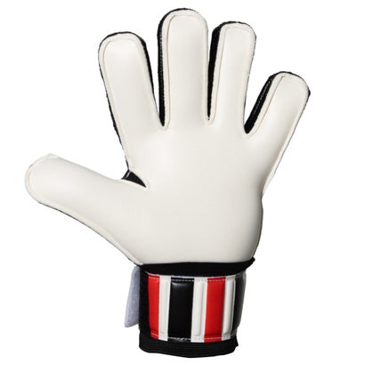 フォーカス6 （WHT/RED）｜詳細画像