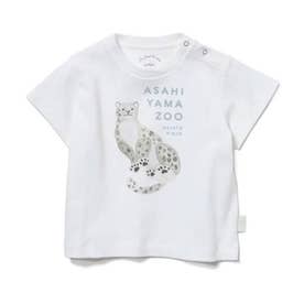【BABY】【旭山動物園】ユキヒョウ baby Tシャツ （OWHT）