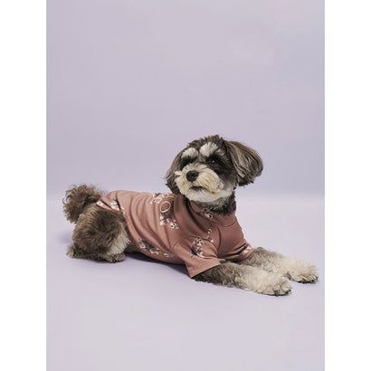 【CAT&DOG】シュナウザー柄カットソープルオーバー （BRW）｜詳細画像