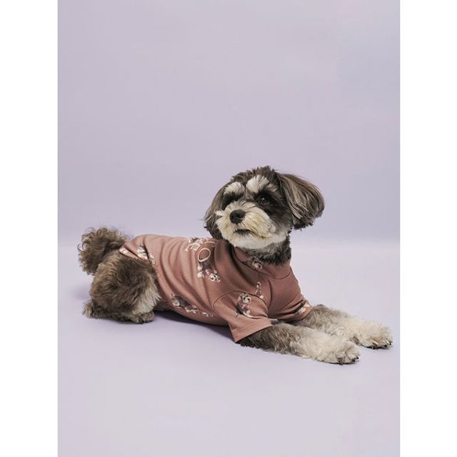 【CAT&DOG】シュナウザー柄カットソープルオーバー （BRW）