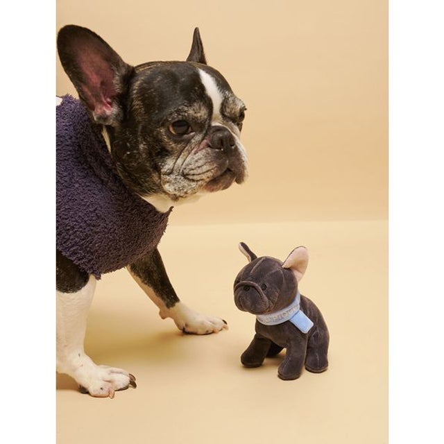 【CAT&DOG】マフラーDOGモチーフトイ （CGRY）