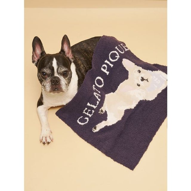 【CAT&DOG】ベビモコフレンチブルドッグ柄ブランケット （NVY）