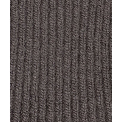 ★★TNF SmallLogo Beanie （LIME）｜詳細画像