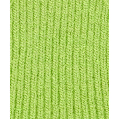 ★★TNF SmallLogo Beanie （LIME）｜詳細画像