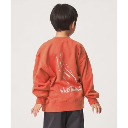 TJ EX WT LOGO SWEAT （COBALT）｜詳細画像
