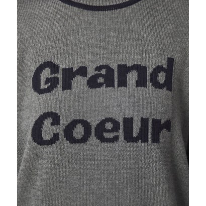 SC HW LOGO KNIT PO （DK.GRAY）｜詳細画像