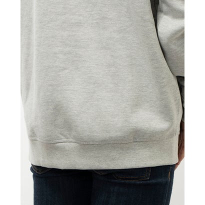 ゲス GUESS Aldwin Mini Triangle LogoHooded Sweatshirt （H9C9）｜詳細画像