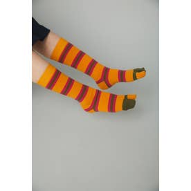 Multi boder socks YEL