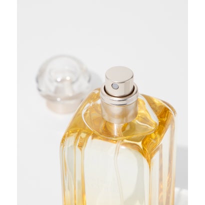 エルメス Hermes エルメス HERMES 庭園のフレグランス オードトワレ 100ml ユニセックス （屋根の上の庭）｜詳細画像