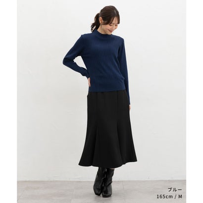 あったかリブ編ハイネックニット トップス ニット セーター 長袖 ハニぽか あったか ウォッシャブル ダイナホット ハイネック リブ レディース （ブラウン）｜詳細画像