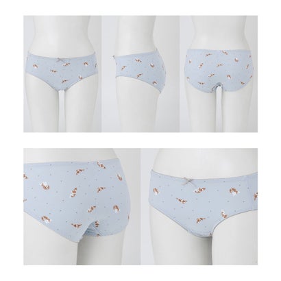 スタンダードショーツ（2枚組） 下着 アンダーウェア ショーツ 抗菌 抗菌防臭 防臭 綿 コットン 綿混 アニマル柄 チェック柄 レディース （チェックリボン）｜詳細画像
