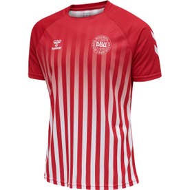 
         デンマーク代表 2021 レトロTシャツ(レッド)