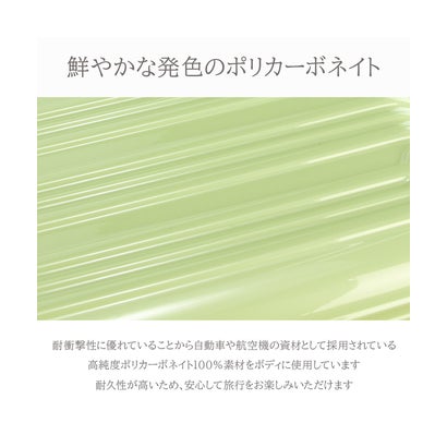 アジア・ラゲージ Asia Luggage アジア・ラゲージ マジカルイス ジッパータイプ スーツケース Sサイズ SS 機内持ち込み Asia Luggage Inc.（A.L.I） Magicalou （グレー）｜詳細画像