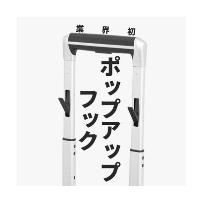 アジアラゲージ スーツケース Sサイズ ALI-175-18FW （マットシャンパン）｜詳細画像