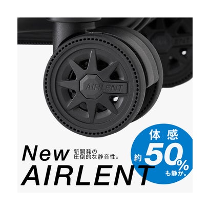 アジアラゲージ スーツケース Lサイズ ALI-175-28W （マットシャンパン）｜詳細画像