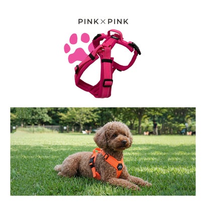 ハクサン Hakusan 犬 ハーネス Y型 ゼロ ハーネス ベルト 小型犬 中型犬 大型犬 胴輪 歩行補助 （オレンジ/オレンジ）｜詳細画像