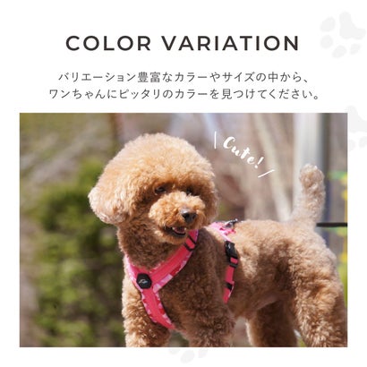 ハクサン Hakusan 犬 ハーネス Y型 ゼロ ハーネス ベルト 小型犬 中型犬 大型犬 胴輪 歩行補助 （モス/グリーン）｜詳細画像