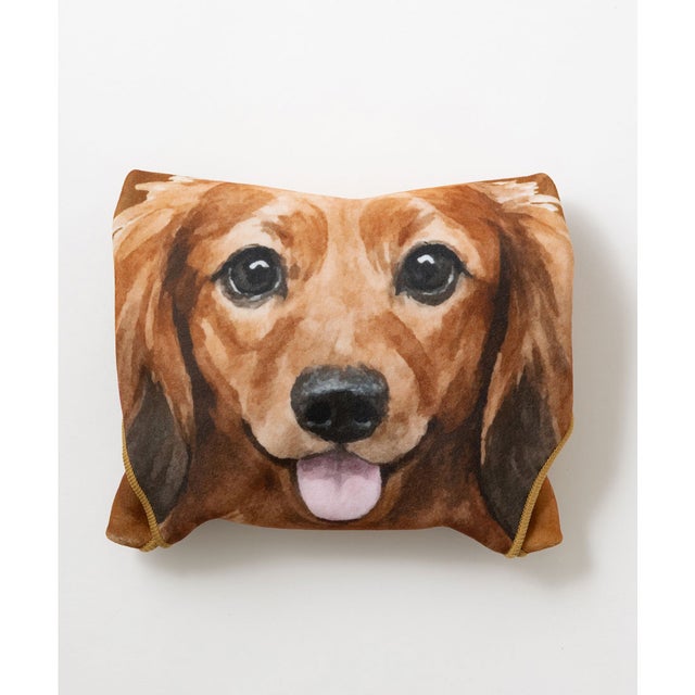 犬・猫 柄 らくらく手間なし風呂敷 くっつく マジックタオル 40x40cm （その他26）