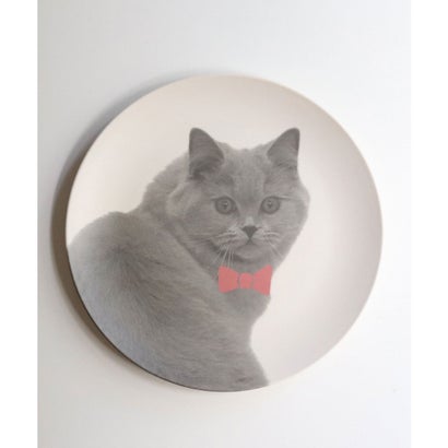 ジュビリー Jubilee 【アウトレット】 猫デザイン エコバンブー皿 5枚セット【返品不可商品】 （A）｜詳細画像