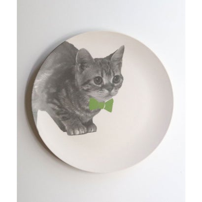 ジュビリー Jubilee 【アウトレット】 猫デザイン エコバンブー皿 5枚セット【返品不可商品】 （A）｜詳細画像