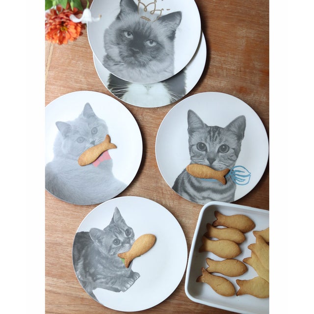 【アウトレット】 猫デザイン エコバンブー皿 5枚セット【返品不可商品】 （A）
