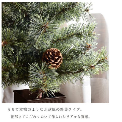 北欧風 クリスマスツリー 60cm クリスマスツリー （クリスマスツリー）｜詳細画像