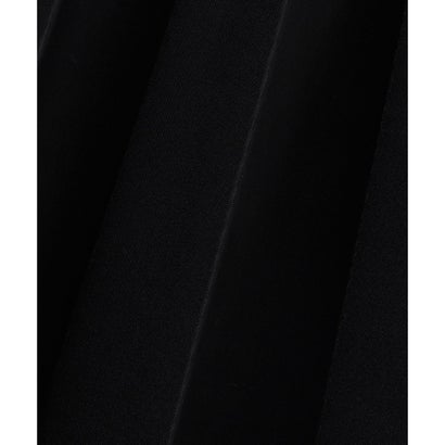 自由区 L 【SHIHOさん着用・上品・きれいめ】シアープリーツ スカート （ブラック）｜詳細画像