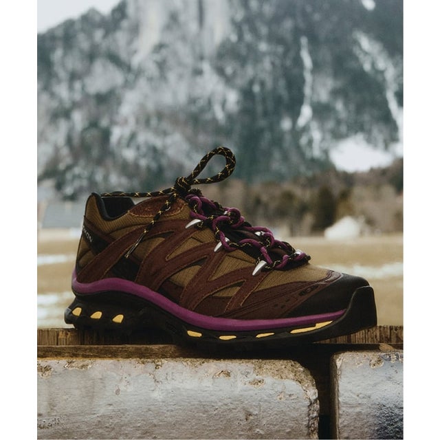 SALOMON / サロモン XT-QUEST EXPEDITION （ブラウン）