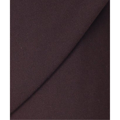 ジャーナルスタンダード JOURNAL STANDARD 《追加予約》【保温・吸湿発熱】THERMO WIDE EASY STRETCH　(裏起毛)（ブラウン B）｜詳細画像