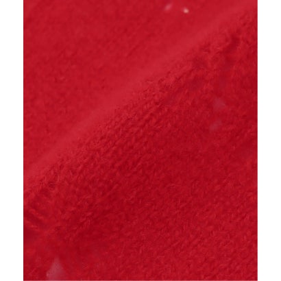 ジャーナルスタンダード JOURNAL STANDARD 【BIELO/ビエロ】CARIAGGI CASHMERE SCARF （グレー）｜詳細画像