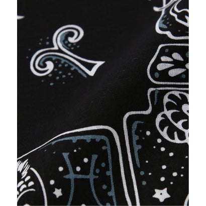 ジャーナルスタンダード レリューム JOURNAL STANDARD relume HAV-A-HANK / ハバハンク 別注 Zodiac signs バンダナ （ブラウン）｜詳細画像