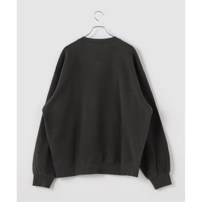 ジョイントワークス JOINT WORKS CARHARTT WIP / カーハート ダブリューアイピー Vista Sweatshirt （ブラック）｜詳細画像