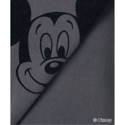ジャーナルスタンダード レサージュ JOURNAL STANDARD L'ESSAGE 《追加予約》GOOD ROCK SPEED/グッドロックスピード 26FDS205W スウェット地 Tシャツ （グレー）｜詳細画像