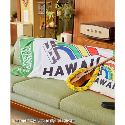 【Kahiko】University of Hawaii レインボービーチタオル レインボー｜詳細画像