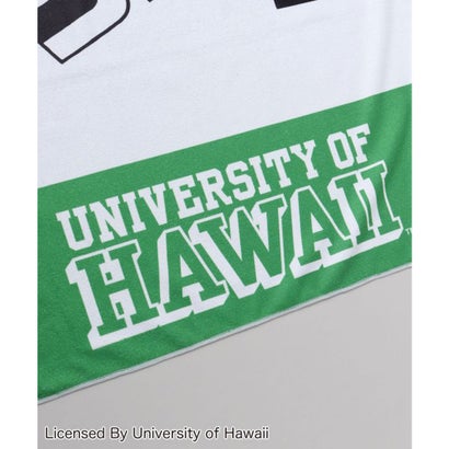 【Kahiko】University of Hawaii レインボービーチタオル レインボー｜詳細画像