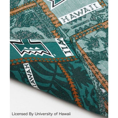【Kahiko】University of Hawaii ヴィンテージバンダナ ベージュ｜詳細画像