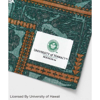 【Kahiko】University of Hawaii ヴィンテージバンダナ グリーン｜詳細画像