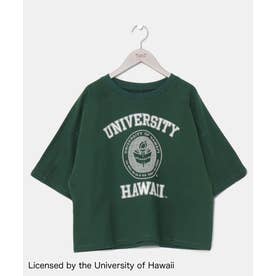 【Kahiko】University of Hawaii 裏毛エンブレムTシャツ グリーン
