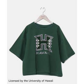 【Kahiko】University of Hawaii 裏毛ロゴTシャツ グリーン