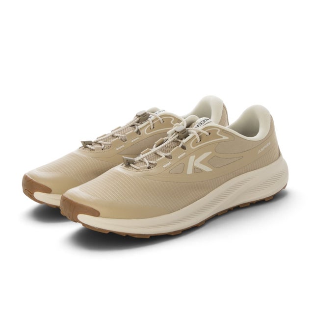 ASPIRE （SAF/BIR）