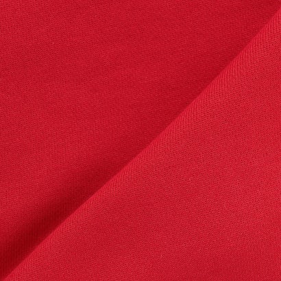 【人気商品再入荷】【直営店で取り扱い無し】恐竜サガラトレーナー （赤）｜詳細画像