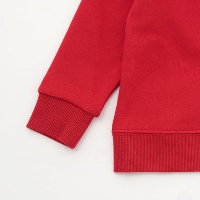 【人気商品再入荷】【直営店で取り扱い無し】恐竜サガラトレーナー （ブルー グリーン）｜詳細画像