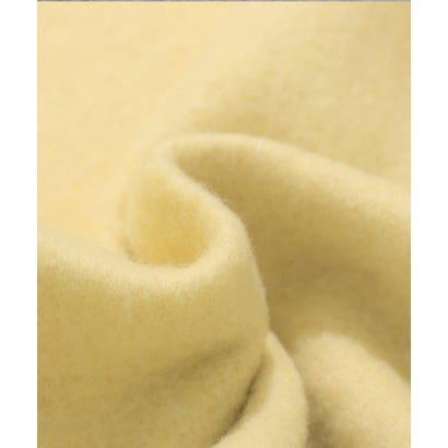 あたたかクルー(恐竜図鑑) （YELLOW）｜詳細画像
