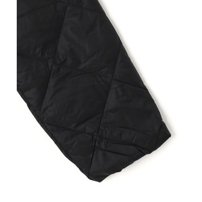 TAION/タイオン/SINGLE CITY CREW NECK LONG DOWN JACKET （オフホワイト3）｜詳細画像