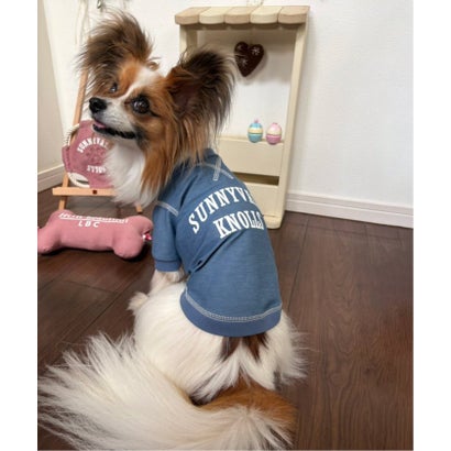 カットデニムベースボールシャツ （ネイビーブルー）｜詳細画像