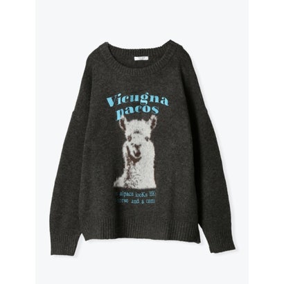 ルディックパーク Ludic Park アルパカ柄シャギーニットプルオーバー （茶）｜詳細画像